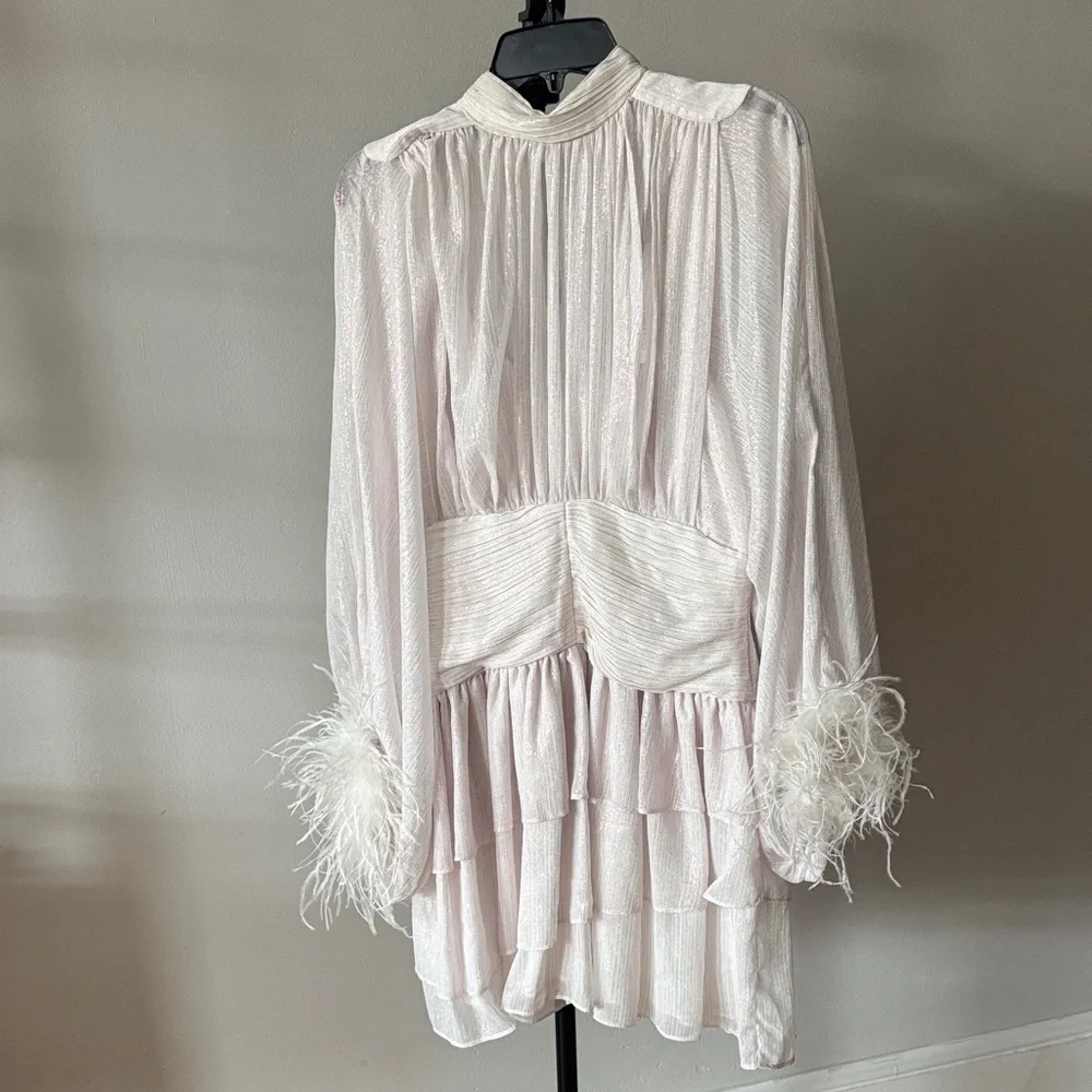 Loves A Metallic Chiffon Feather Trim Ruched Dress - STUNNING! MSPR 159 - Picture 6 of 9